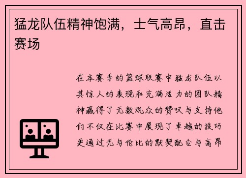 猛龙队伍精神饱满，士气高昂，直击赛场